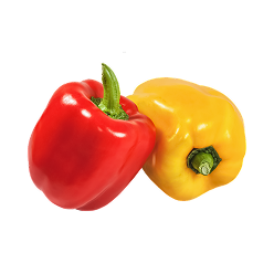 Pepper