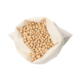 Beans