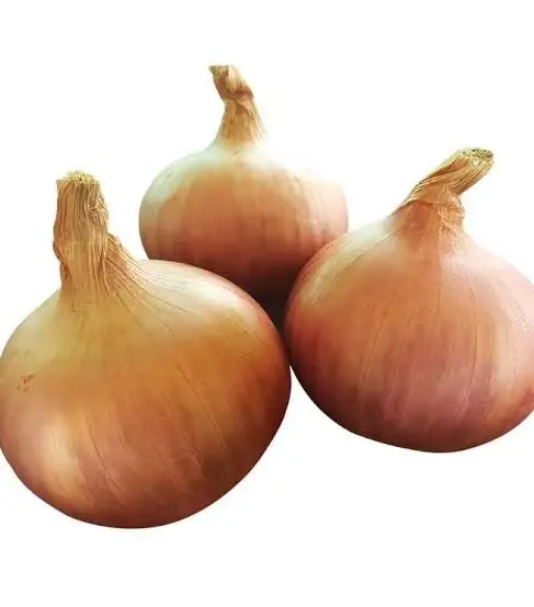 Onions