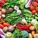 Winter Harvest Sales
